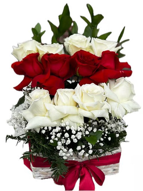 Red and White Box