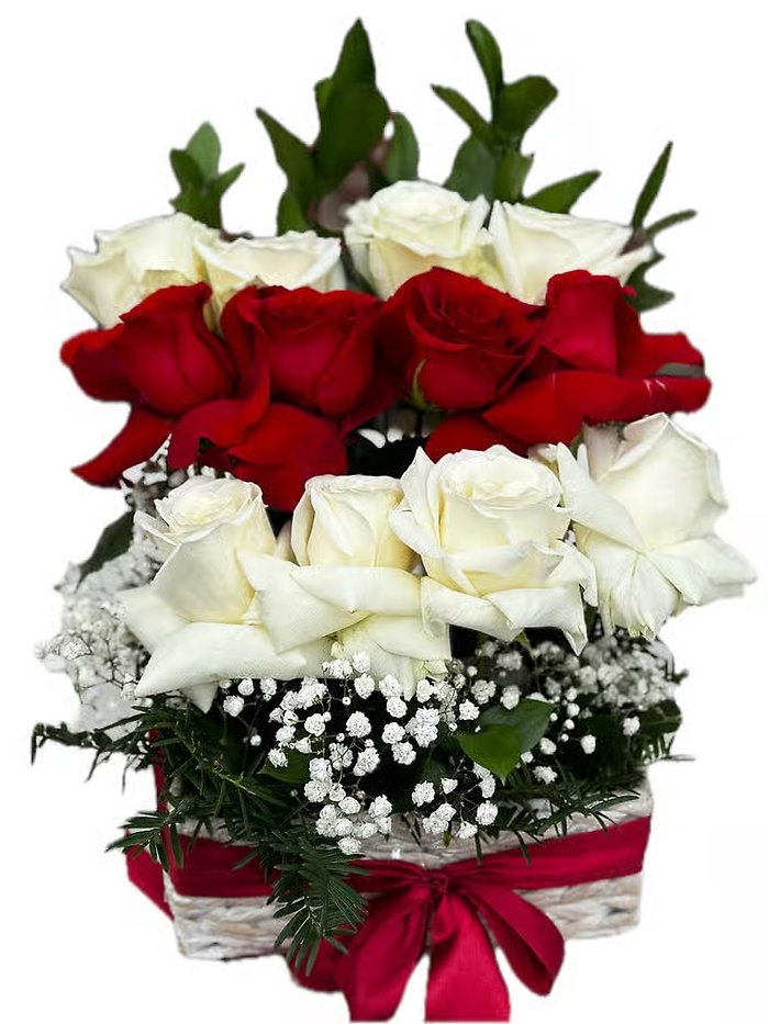 Red and White Box