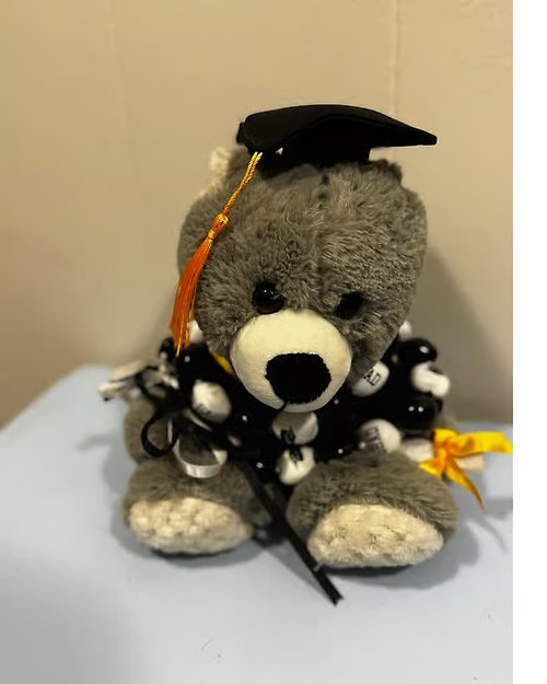 Graduation Teddy Bear