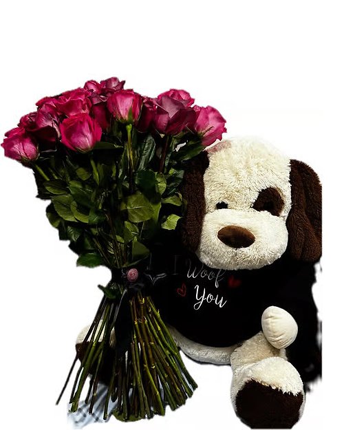 Luxury 50 Pink Roses & Extra Large Splush Dog